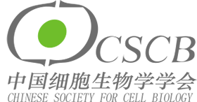 CSSCR Logo